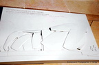 EVP 6063