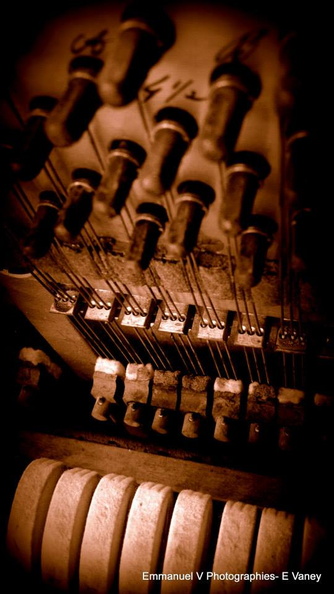 10487224_771398886245530_754970780914715313_n.jpg